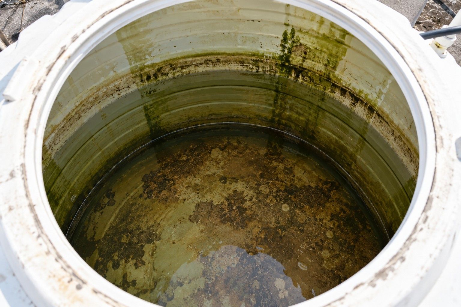 The inside of a water tank with green slime and sediment before cleaning